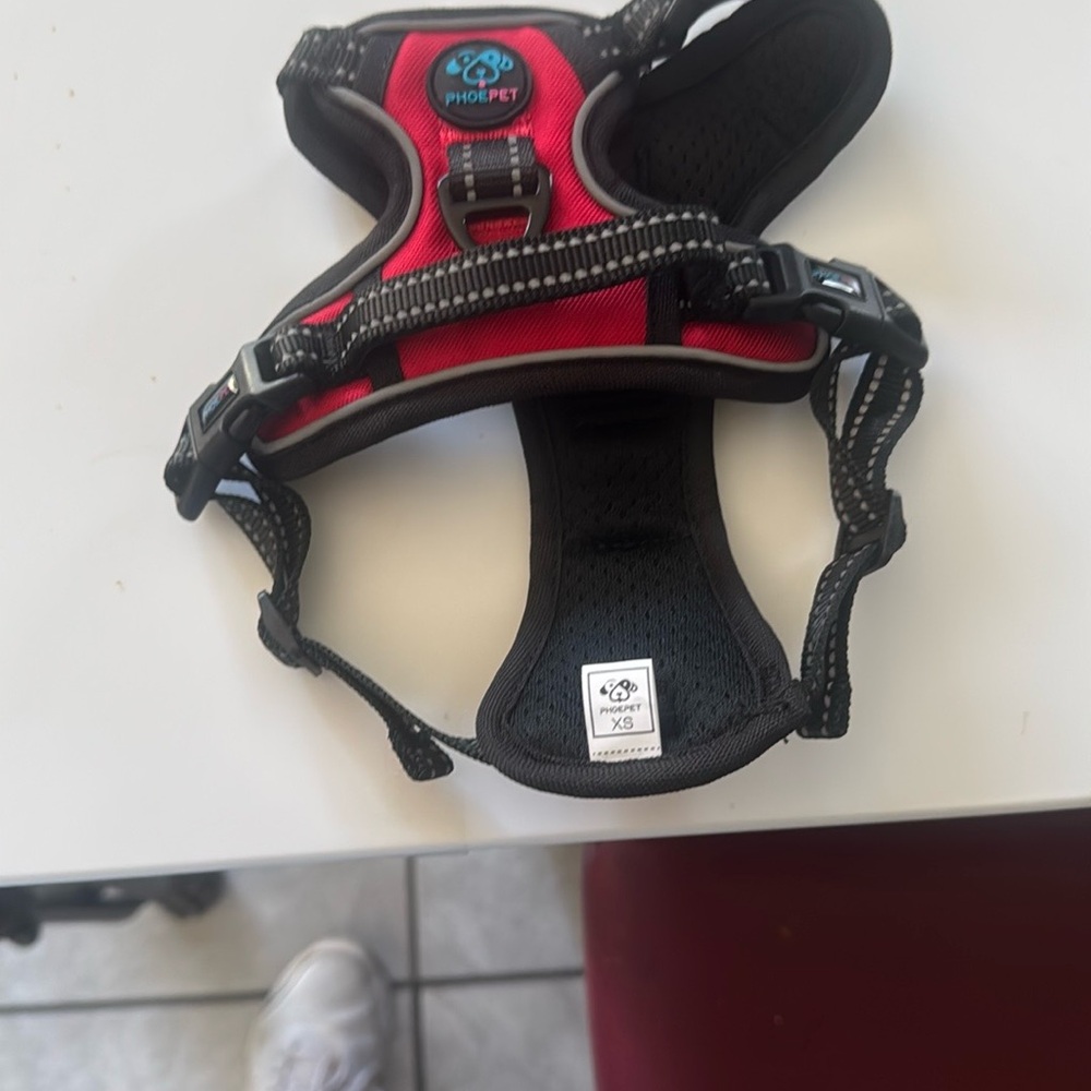 Red and Black Adjustable Dog Collar and Leash Set